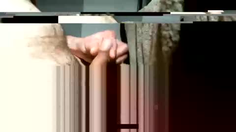 balthazar7676 online show from January 3, 2025, 10:31 am