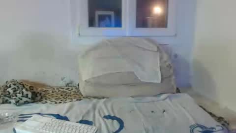 Snapshot of bambino6060 chatting on December 2, 2024, 4:42 pm bambino6060 online show from December 2, 2024, 4:42 pm
