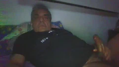 Snapshot of bambino6060 chatting on May 24, 2026, 7:35 am bambino6060 online show from May 24, 2026, 7:35 am