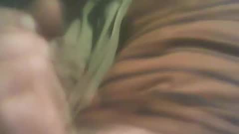 bandapart online show from September 8, 2025, 5:01 pm