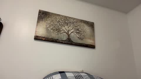 chicka online show from February 14, 2025, 6:02 am