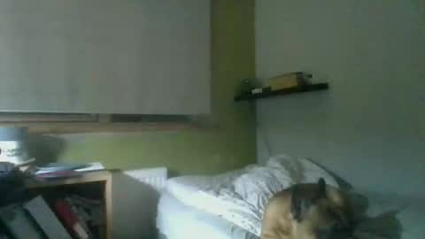 bart_poland online show from October 23, 2025, 9:02 pm