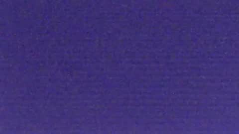 bartbartek online show from November 9, 2025, 6:01 am