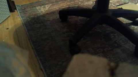 bartender3127 online show from January 16, 2025, 4:18 pm