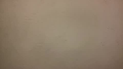 bayleyseth online show from February 5, 2025, 7:31 pm