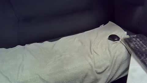 bbc_highness online show from February 21, 2025, 9:11 pm