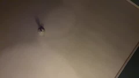 bbc_in_chitwn online show from January 31, 2025, 7:50 am