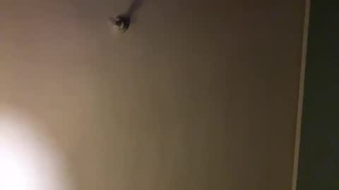 bbc_in_chitwn online show from February 1, 2025, 10:44 pm