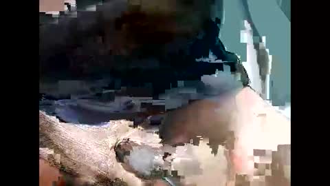 Snapshot of bbcbrazilianboy chatting on September 28, 2025, 4:18 am bbcbrazilianboy online show from September 28, 2025, 4:18 am