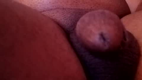 Snapshot of bcfalcon69 chatting on February 13, 2026, 5:36 am bcfalcon69 online show from February 13, 2026, 5:36 am