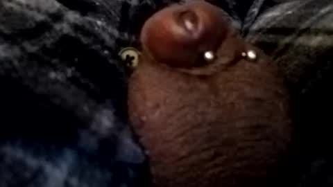 Snapshot of bcfalcon69 chatting on February 26, 2026, 5:06 am bcfalcon69 online show from February 26, 2026, 5:06 am