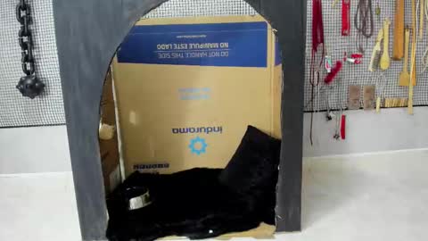 Meduza  online show from February 5, 2026, 11:26 am