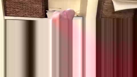 Snapshot of beachguy469 chatting on November 18, 2025, 4:44 pm BeachGuy online show from November 18, 2025, 4:44 pm