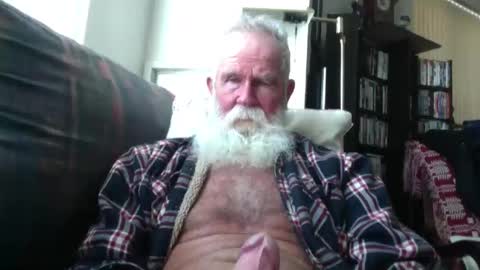 beardbushy online show from December 14, 2025, 4:56 pm