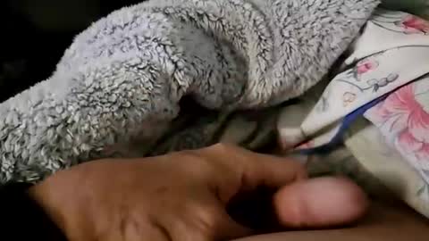 Snapshot of beepermon chatting on September 22, 2025, 12:51 pm beepermon online show from September 22, 2025, 12:51 pm