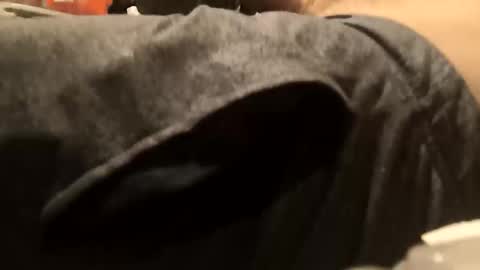 begdik25 online show from October 11, 2025, 8:13 am