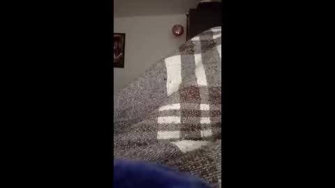 belcebu472402 online show from November 2, 2025, 2:41 pm