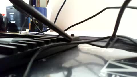 belgianfatcock online show from March 21, 2026, 5:23 am