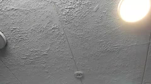 Snapshot of bella_lane_ chatting on December 4, 2025, 7:22 pm Bella online show from December 4, 2025, 7:22 pm