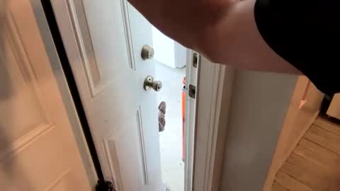 Snapshot of bellabeanz chatting on February 19, 2025, 2:12 pm Roxy Rain online show from February 19, 2025, 2:12 pm