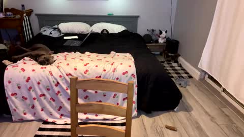 Snapshot of bellabeanz chatting on March 1, 2025, 4:00 pm Roxy Rain online show from March 1, 2025, 4:00 pm