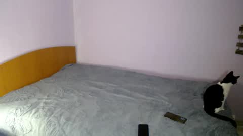 bellaqueen0701 online show from March 6, 2025, 5:33 pm