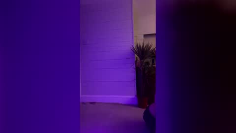 bellaxlauren online show from February 11, 2026, 10:48 pm