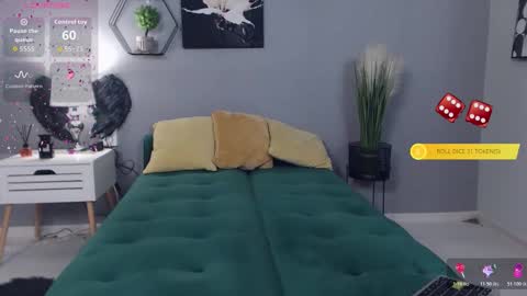 BellaNova online show from November 26, 2025, 7:42 am