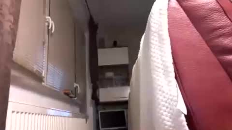 Snapshot of benutzmich0800 chatting on February 14, 2026, 2:19 am Benutzmich0800 online show from February 14, 2026, 2:19 am