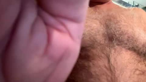 benz10001 online show from February 28, 2025, 12:31 pm