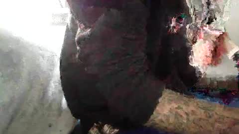 ToxicPipe757 online show from November 4, 2025, 3:55 pm