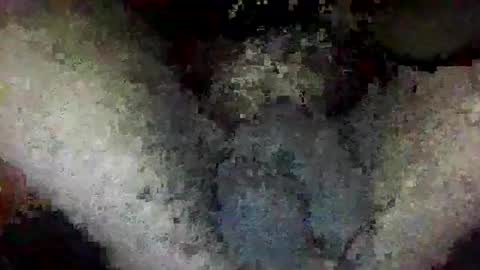 ToxicPipe757 online show from January 14, 2026, 2:01 pm