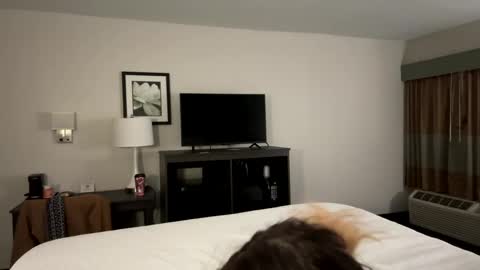 Bethanytakesitt online show from December 22, 2024, 9:44 am