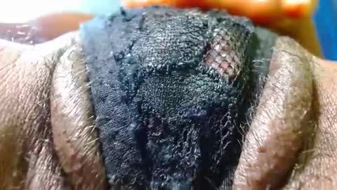 Bethany Wilson online show from January 14, 2026, 5:18 pm