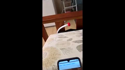 Snapshot of bf2506 chatting on February 12, 2026, 4:18 am bf2506 online show from February 12, 2026, 4:18 am