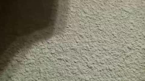 Snapshot of bgf32054 chatting on October 10, 2025, 4:44 am Bigfish123 online show from October 10, 2025, 4:44 am