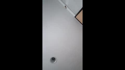 Snapshot of bgiamba21 chatting on February 17, 2026, 5:48 am bgiamba21 online show from February 17, 2026, 5:48 am