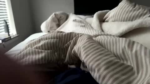 bgn111 online show from April 1, 2026, 11:02 pm