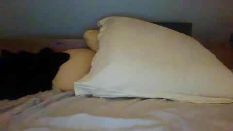 bibipheuck online show from November 13, 2025, 12:04 pm