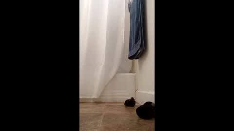 Snapshot of bibottom68942 chatting on December 22, 2025, 12:24 pm bibottom68942 online show from December 22, 2025, 12:24 pm