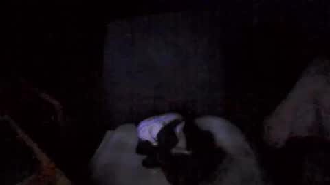 big_davis4 online show from November 30, 2025, 12:42 pm