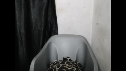Snapshot of bigassdrip chatting on April 21, 2026, 7:06 pm bigassdrip online show from April 21, 2026, 7:06 pm