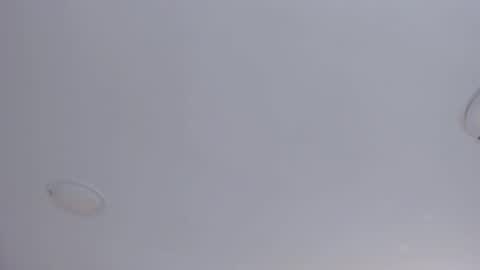   online show from October 8, 2025, 9:07 am