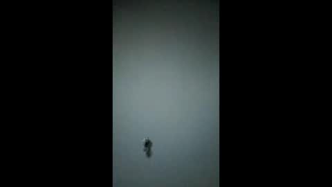 bigchorizo18 online show from March 17, 2026, 5:00 am