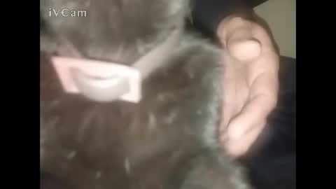 Snapshot of bigdick666cm chatting on February 22, 2026, 2:34 am Big online show from February 22, 2026, 2:34 am