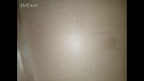 Snapshot of bigdick666cm chatting on March 13, 2026, 3:29 pm Big online show from March 13, 2026, 3:29 pm