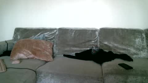 CAJEinc online show from February 15, 2025, 5:39 pm