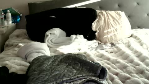 Snapshot of bigdickjoey1995 chatting on January 10, 2025, 11:29 pm bigdickjoey1995 online show from January 10, 2025, 11:29 pm