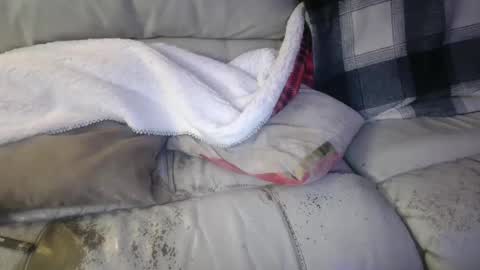 bigdicktrannynicole online show from January 21, 2025, 2:11 am