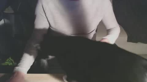 Snapshot of bigdutchenergy chatting on February 28, 2026, 11:06 pm BigDutchEnergy online show from February 28, 2026, 11:06 pm